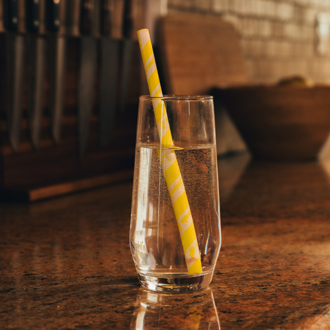 Whitney Johns Gut Health Straws™