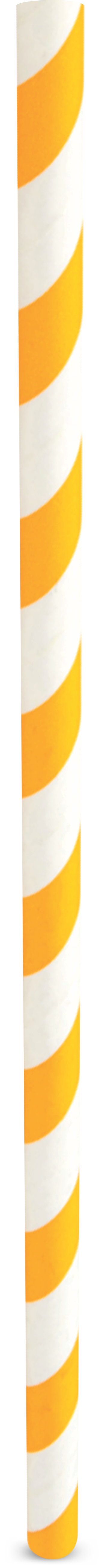 Whitney Johns Gut Health Straws™